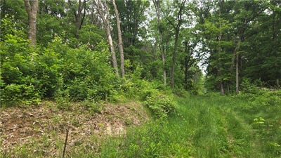 /international/us/10559-20th-street-colfax-wi-110100150500/