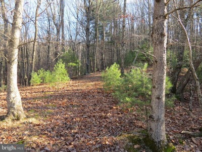 /international/us/10-cedarwood-drive-road-mathias-wv-110101394233/?lang=zh-tw