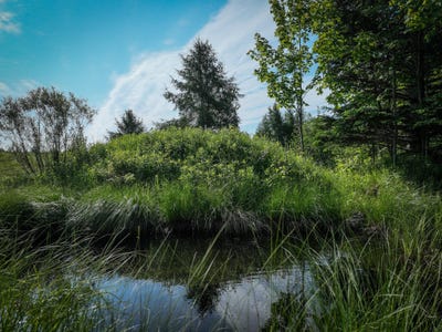 /international/us/lot-4-nelson-road-l-anse-mi-110100678949/?lang=zh-tw