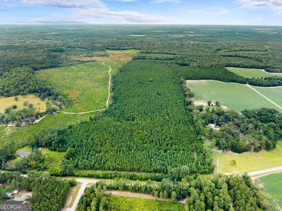 /international/us/apprx-14-acres-old-river-statesboro-ga-110101426591/