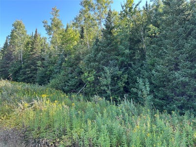 /international/us/on-highway-53-lake-nebagamon-wi-110109954826/