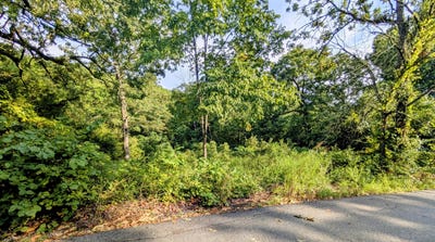 /international/us/lot-9-azalea-lane-branson-west-mo-110101254281/?lang=de