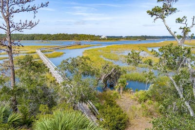/international/us/40-steady-gittin-it-lane-saint-helena-island-sc-110095634259/