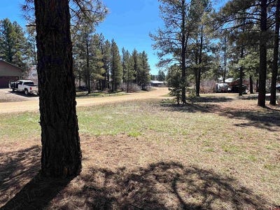 /international/us/533-dutton-drive-pagosa-springs-co-110100924675/