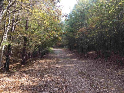 /international/us/0-snow-springs-adairsville-ga-110077727009/?lang=zh-tw