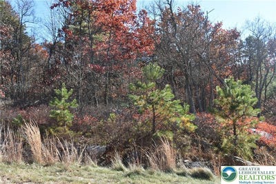 /international/us/buck-mountain-boulevard-luzerne-pa-110101406369/?lang=zh-tw