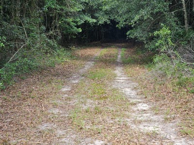 /international/us/0-county-road-173-headland-al-110101070177/
