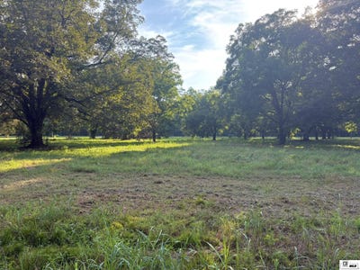 /international/us/highway-65-s-lot-4-pecan-grove-estates-tallulah-la-110108691204/