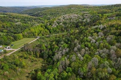 /international/us/300-miller-hollow-road-waverly-ny-110108132883/