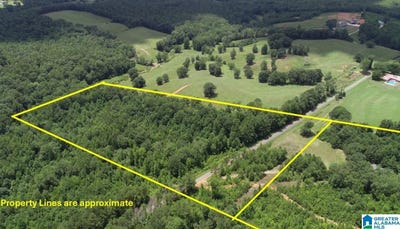 /international/us/766-county-road-23-wedowee-al-110100979599/