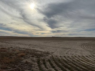 /international/us/tbd-road-7-west-bushnell-ne-110105976554/