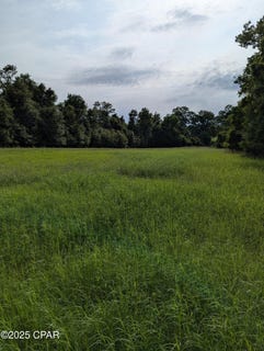 /international/us/00-poplar-springs-road-marianna-fl-110099978878/
