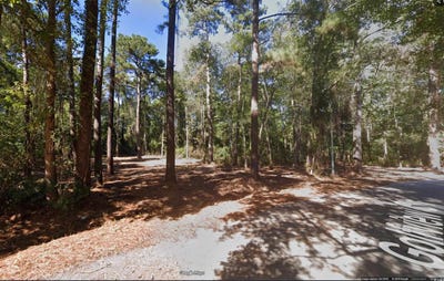 /international/us/golfview-circle-johnsonville-sc-110103420900/