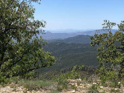 /international/us/1002-n-turkey-trot-trail-prescott-az-110092436642/?lang=zh-tw