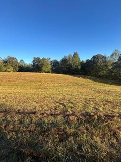 /international/us/1450-jones-school-rd-mount-sherman-ky-110120029654/
