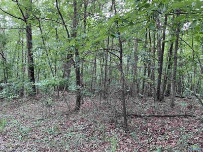 /international/us/7-bear-creek-trail-fort-payne-al-110100390303/?lang=zh-tw