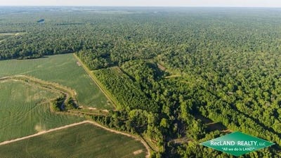 /international/us/tbd-hwy-4-winnsboro-la-110108146925/