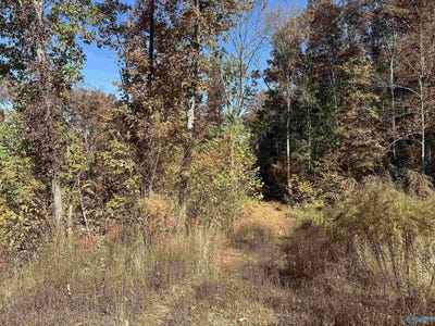 /international/us/4-acres-keel-mountain-road-gurley-al-110093403271/