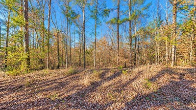 /international/us/lee-road-salem-al-110120617262/