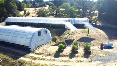 /international/us/36111-alderpoint-road-blocksburg-ca-110101055396/