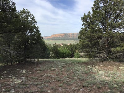 /international/us/sunflower-drive-lot-6-ramah-nm-110090944964/