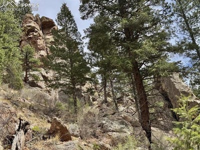 /international/us/13526-n-highway-67-woodland-park-co-110107786589/