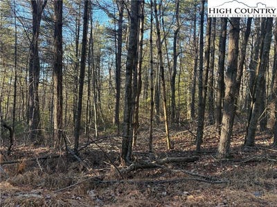 /international/us/eagles-nest-lane-lot-24-glade-valley-nc-110104850760/