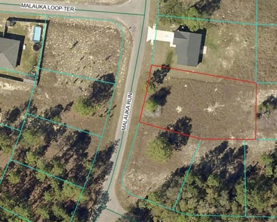 /international/us/lot-5-se-malauka-run-ocklawaha-fl-110104032128/