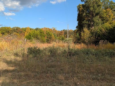 /international/us/122-zenar-road-fordland-mo-110120588457/