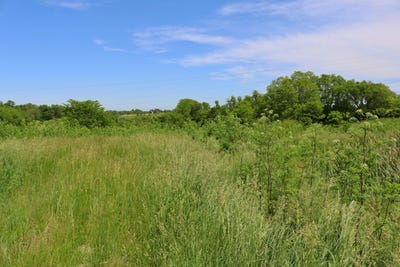 /international/us/5-01-acres-menefee-road-crittenden-ky-110100797406/?lang=zh-cn