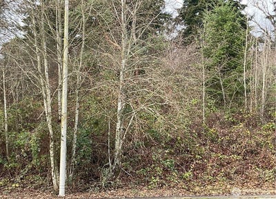 /international/us/6016-s-tyler-street-tacoma-wa-110100729006/