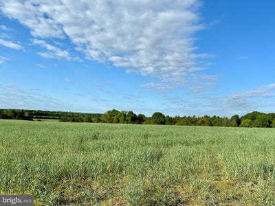 /international/us/lot-1-12-zachary-taylor-hwy-unionville-va-110100206155/