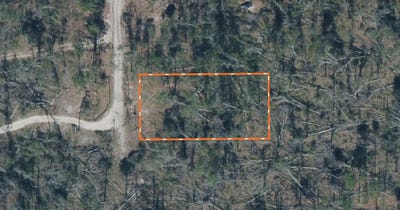 /international/us/237th-road-live-oak-fl-110107688912/