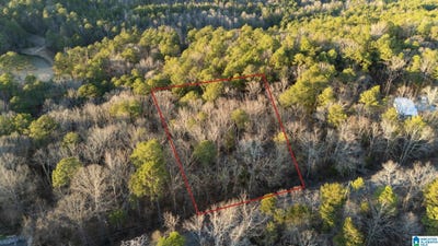 /international/us/27-mountain-view-lane-lot-27-vance-al-110104999417/