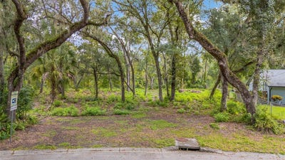 /international/us/11731-gail-drive-temple-terrace-fl-110110357487/