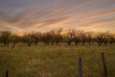 /international/us/tbd-state-hwy-114-seymour-tx-110098619211/