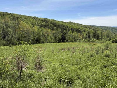 /international/us/bear-hill-road-brookfield-vt-110108578814/