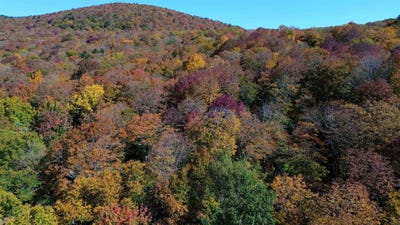/international/us/1052-ccc-road-shrewsbury-vt-110102355614/