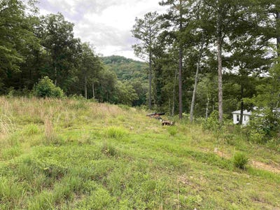 /international/us/7897-trace-ridge-road-leslie-ar-110100628606/