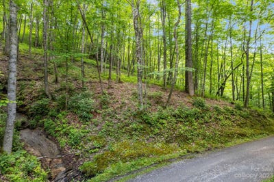 /international/us/lt-12c-von-trapp-lane-unit-12c-tuckasegee-nc-110085098085/?lang=en