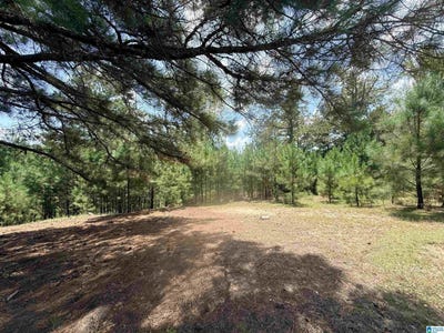 /international/us/rockyview-road-lot-0-west-blocton-al-110109990939/