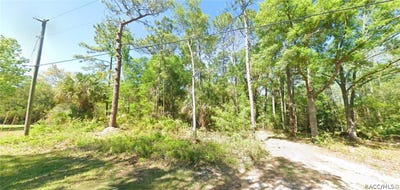 /international/us/7808-w-manor-lane-crystal-river-fl-110119956004/