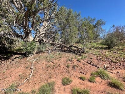 /international/us/lot-122-w-ridge-seligman-az-110100768540/?lang=zh-tw