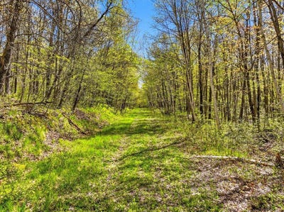 /international/us/w6474-river-road-trego-wi-110108121991/