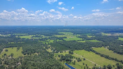 /international/us/6600-150th-place-wellborn-fl-110109207733/