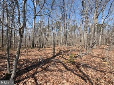 /international/us/countryside-lane-lot-1-lignum-va-110107876625/