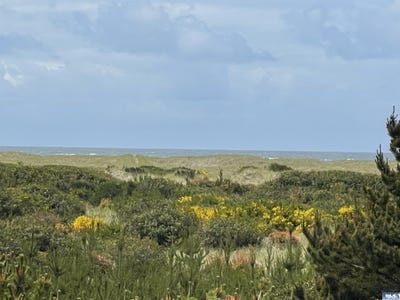 /international/us/855-s-sand-dune-ave-sw-ocean-shores-wa-110098326710/