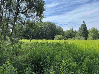 /international/us/green-road-alfred-ny-110101096570/?lang=zh-cn