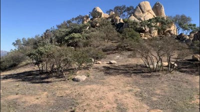 /international/us/skyline-truck-trl-unit-0-jamul-ca-110068373469/?lang=zh-tw