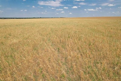 /international/us/e-158-county-road-altus-ok-110109086110/
